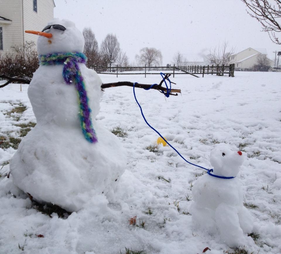 Snowman and his Snowdog