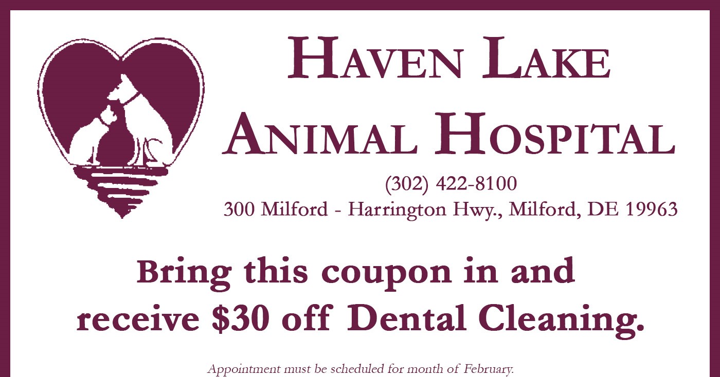 Coupon - Dental