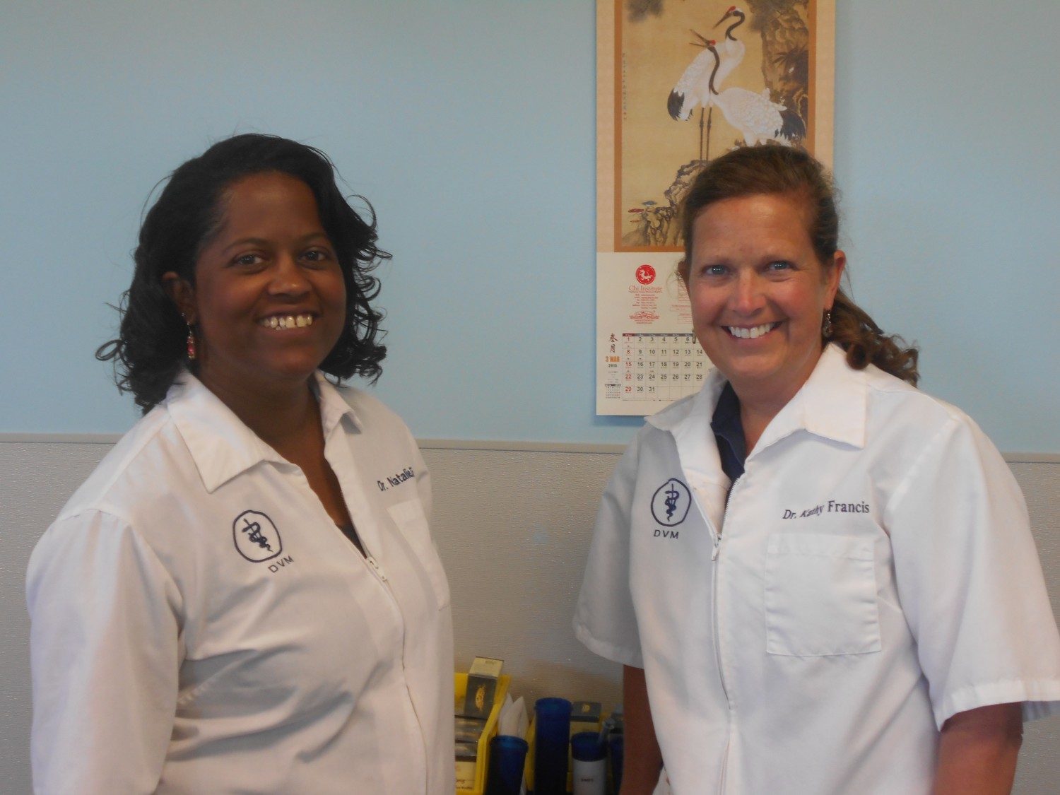 acupuncture staff acupuncture staff