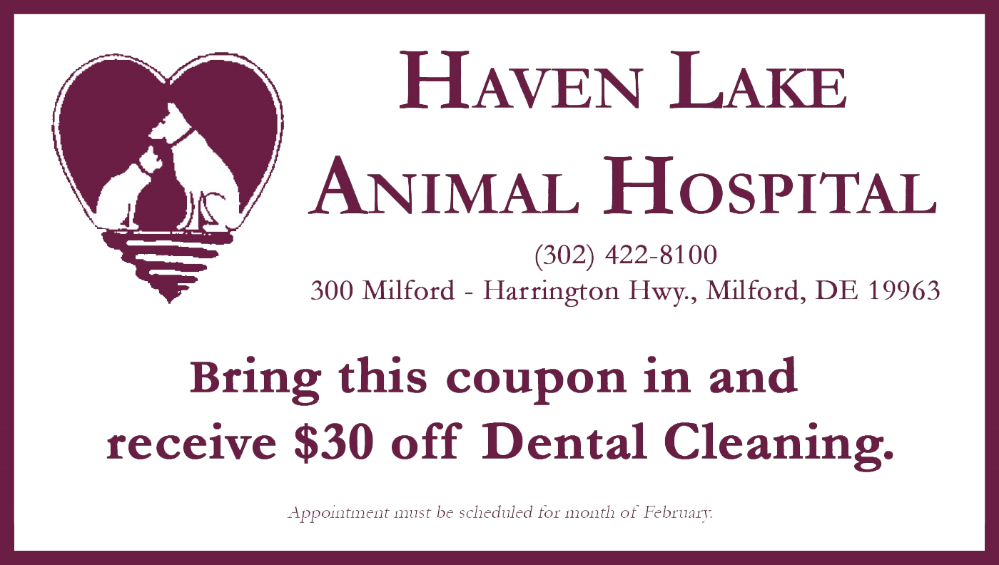 Haven Lake Animal Hospital - Milford, DE - Home