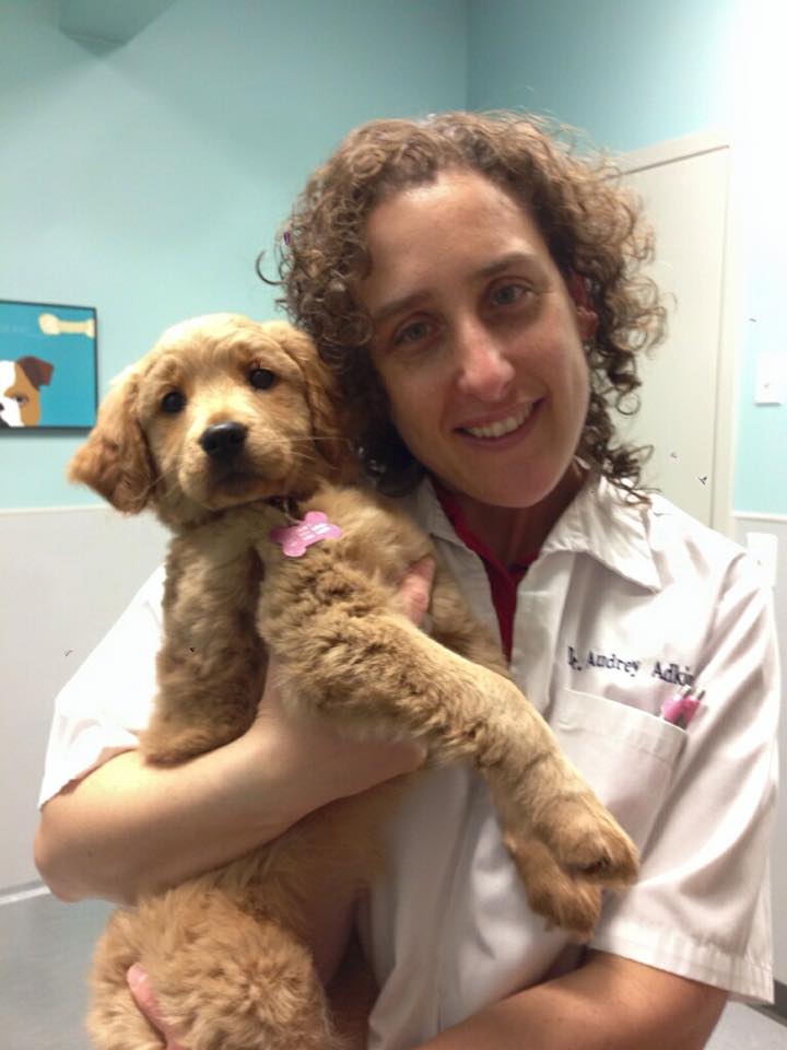 Woman holding dog