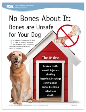 No Bones About It Infographic