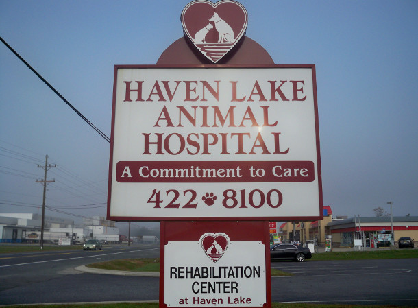 Welcome to Haven Lake Animal Hospital Rehabilitation