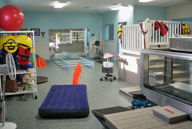 Rehab Room