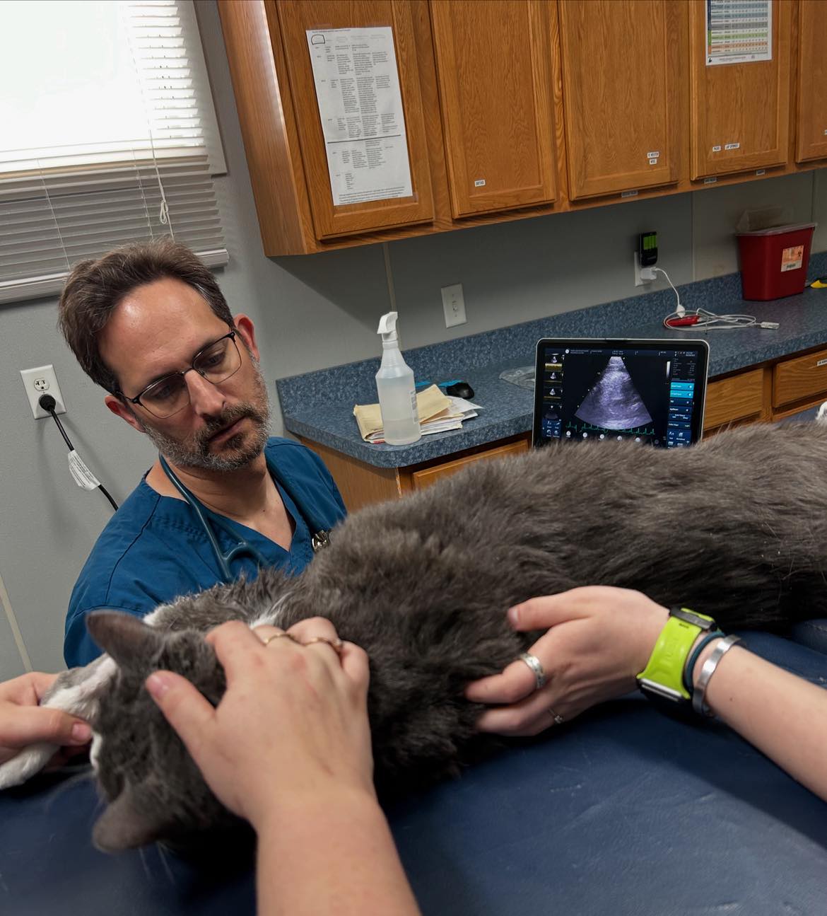 Echocardiogram 