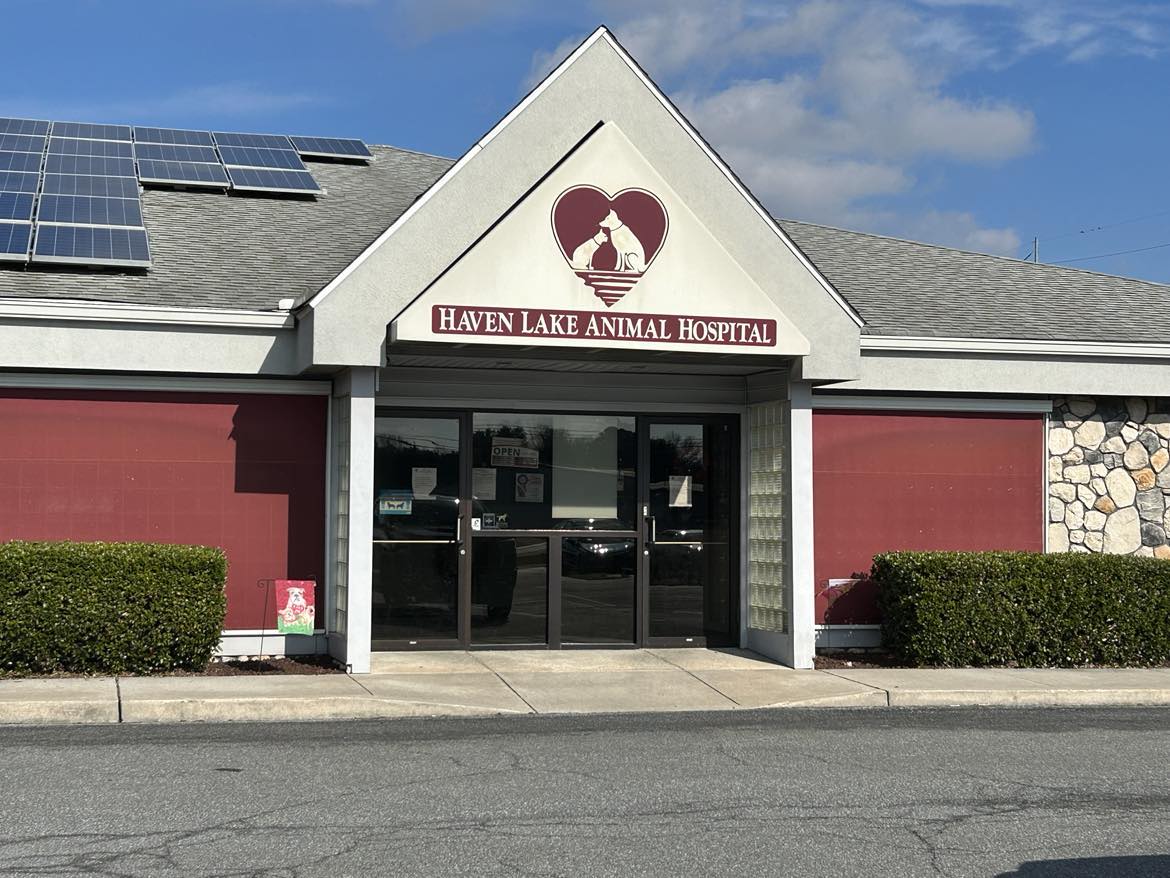 Welcome to Haven Lake Animal Hospital 
